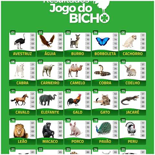 resultado do jogo do bicho 12h